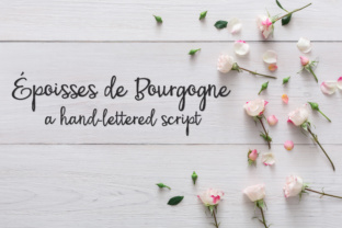 PN Époisses De Bourgogne: A Playful Script Font for Branding